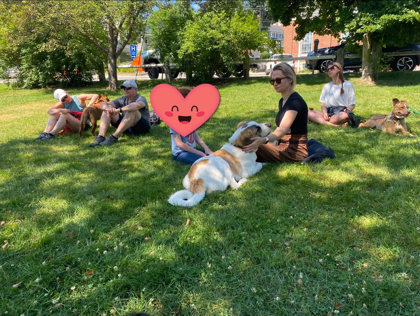 Group training class relaxing on a shaded town green